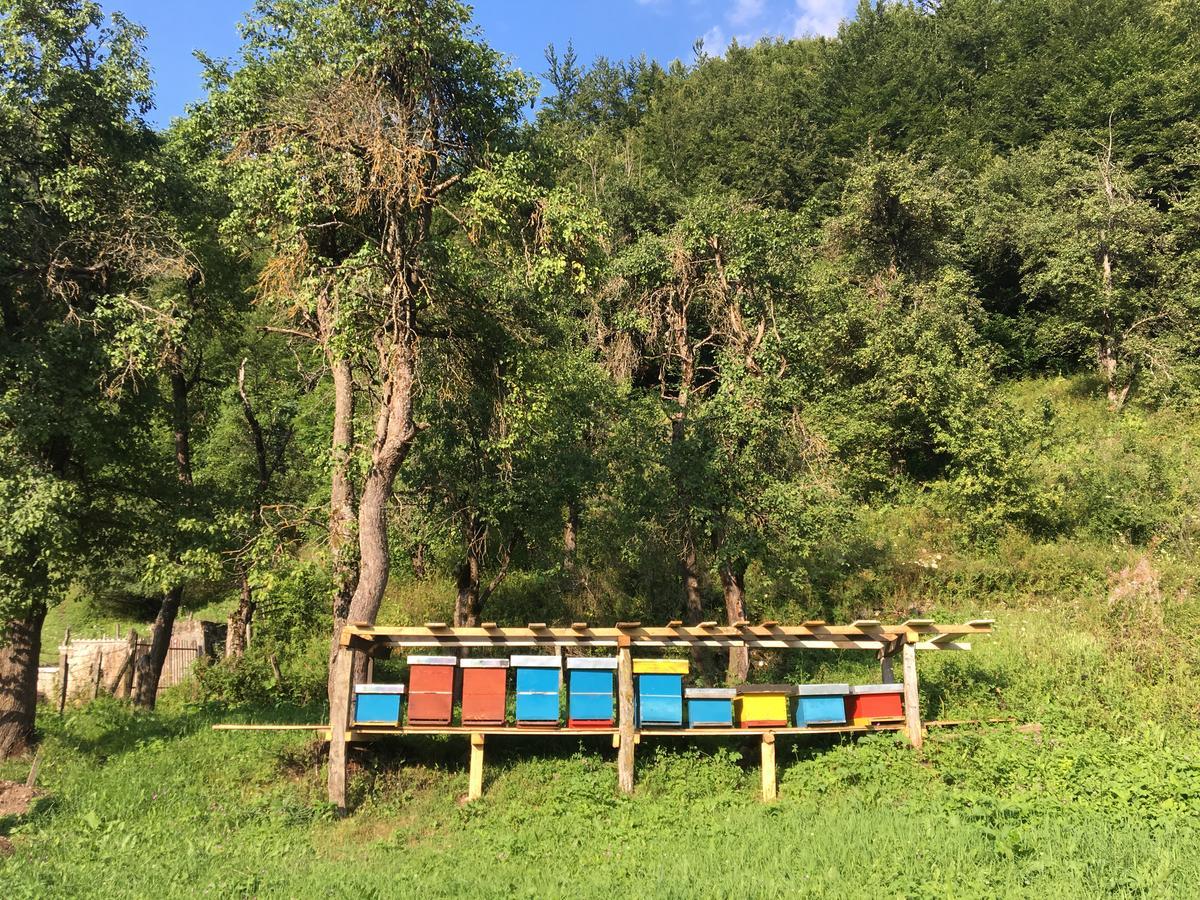 Vuthaj Guest House Ulaj מראה חיצוני תמונה